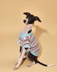 Pet & Me Spring Summer Ocean Blue Ruffle Crochet Short Sleeve Polo Shirt