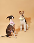 Bowtiful Garden Butter Yellow Floral Bandana