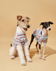 Pet & Me Spring Summer Ocean Blue Ruffle Crochet Short Sleeve Polo Shirt