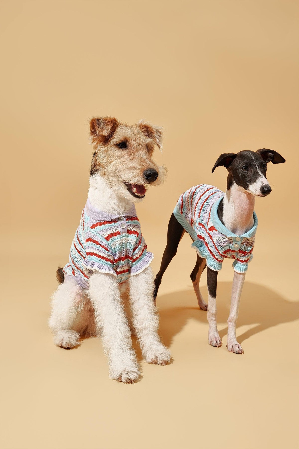 Pet &amp; Me Spring Summer Lavender Ruffle Crochet Short Sleeve Polo Shirt