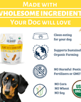 Dog Mamma's Organic Peanut Butter Banana Recipe - USDA Organic Certified Dog Treats