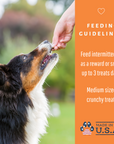 Dog Mamma's Organic Pumpkin Snaps Recipe- USDA Organic Certified Dog Treats