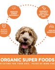 Dog Mamma's Organic Pumpkin Snaps Recipe- USDA Organic Certified Dog Treats