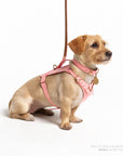 Rosè Heritage Harness