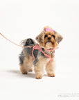 Rosè Heritage Harness