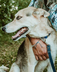 Rolled Leather Quick-Release Dog Collar