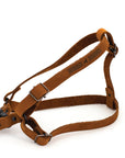 Sport Style Leather Step In Harness
