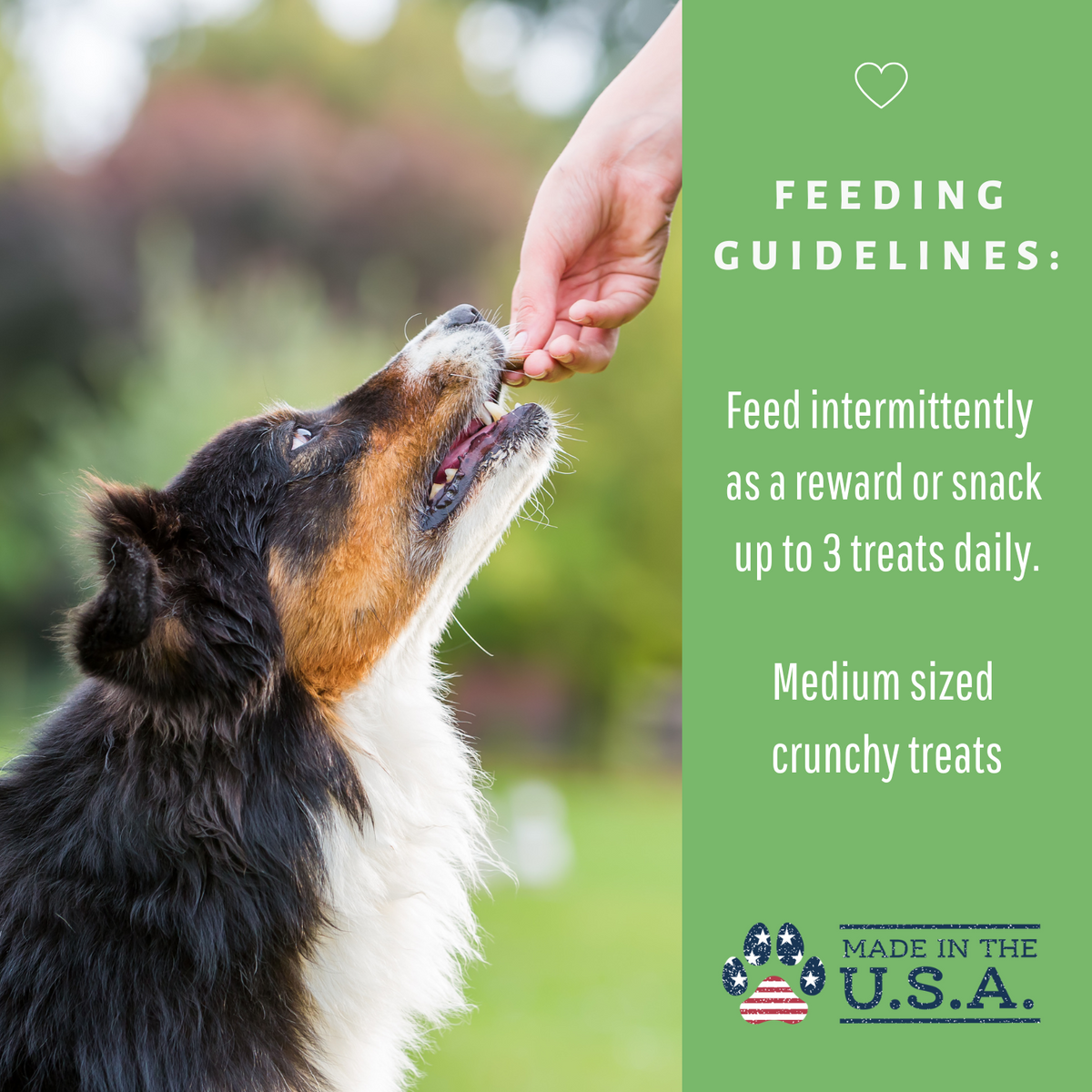 Dog Mamma's Organic Sweet Potato &amp; Kale Recipe - USDA Organic Certified Dog Treats