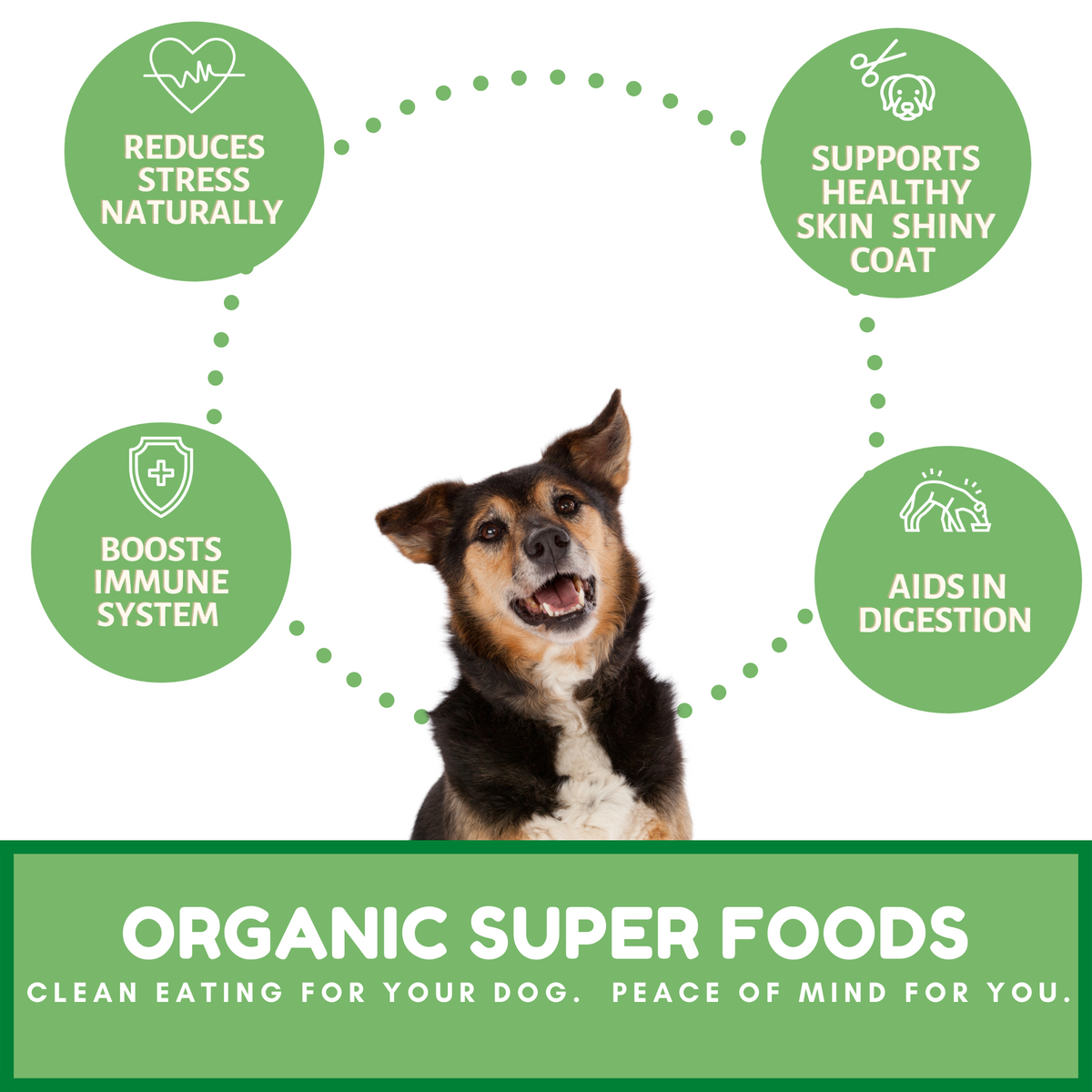 Dog Mamma's Organic Sweet Potato &amp; Kale Recipe - USDA Organic Certified Dog Treats
