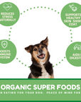 Dog Mamma's Organic Sweet Potato & Kale Recipe - USDA Organic Certified Dog Treats