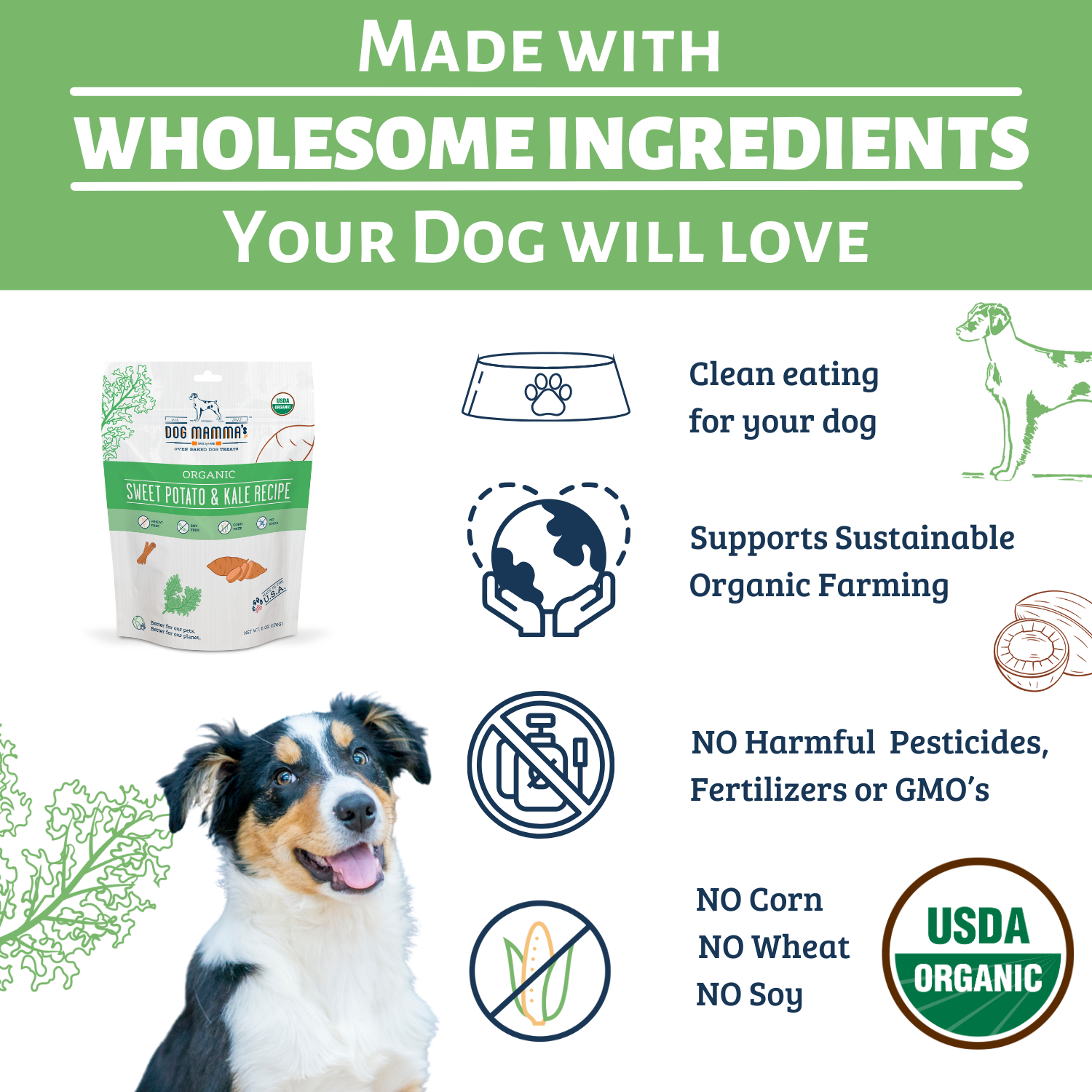 Dog Mamma's Organic Sweet Potato &amp; Kale Recipe - USDA Organic Certified Dog Treats