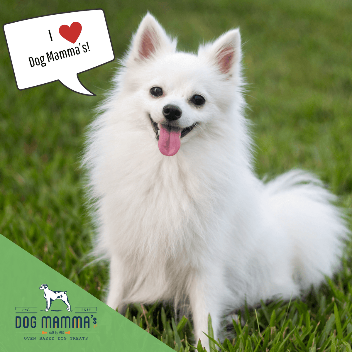 Dog Mamma's Organic Sweet Potato &amp; Kale Recipe - USDA Organic Certified Dog Treats