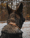 Southwest Spirit Collar