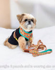 Southwest Spirit Harness