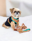 Southwest Spirit Leash