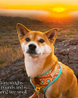 Southwest Spirit Harness
