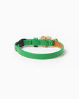 Spring Cat Collar