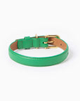 Spring Collar