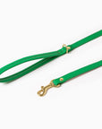 Spring Leash