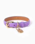 Fairy Collar