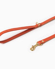 Sunset Leash