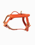 Sunset Heritage Harness