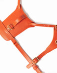 Sunset Heritage Harness