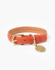 Sunset Collar