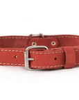 Pro Line Leather Hunting Dog Collar