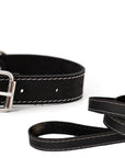 Pro Line Hunting Leather Collar and Leash Set