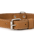 Pro Line Leather Hunting Dog Collar
