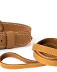 Pro Line Hunting Leather Collar and Leash Set