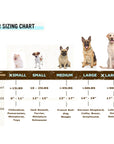 Pro Line Hunting Leather Collar and Leash Set