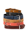 Pro Line Leather Hunting Dog Collar