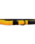 Urokomon Collar