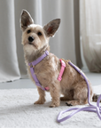Lavender and Pink - Dog Harness