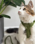 Green - Velvet Dog Harness