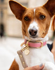 Collar - Vegan Leather