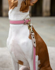 Collar - Vegan Leather
