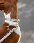 Collar - Vegan Leather