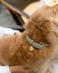 Collar - Vegan Leather - Copenhagen