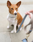 Leash 4ft - Vegan Leather - Cupertino