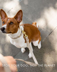 Collar - Air Tag Enabled - Vegan Leather - Cupertino