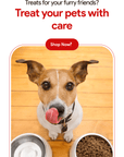 Homemade Dog Treat Party Bag – 1 lb Variety Mix