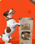 Homemade Dog Treat Party Bag – 1 lb Variety Mix