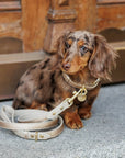 Leash 4ft - Vegan Leather