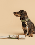 Leash 4ft - Vegan Leather