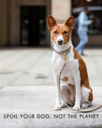 Collar - Vegan Leather - Milan
