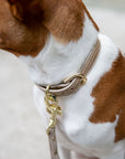 Collar - Vegan Leather - Milan