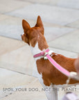 Leash 4ft - Vegan Leather - Rio